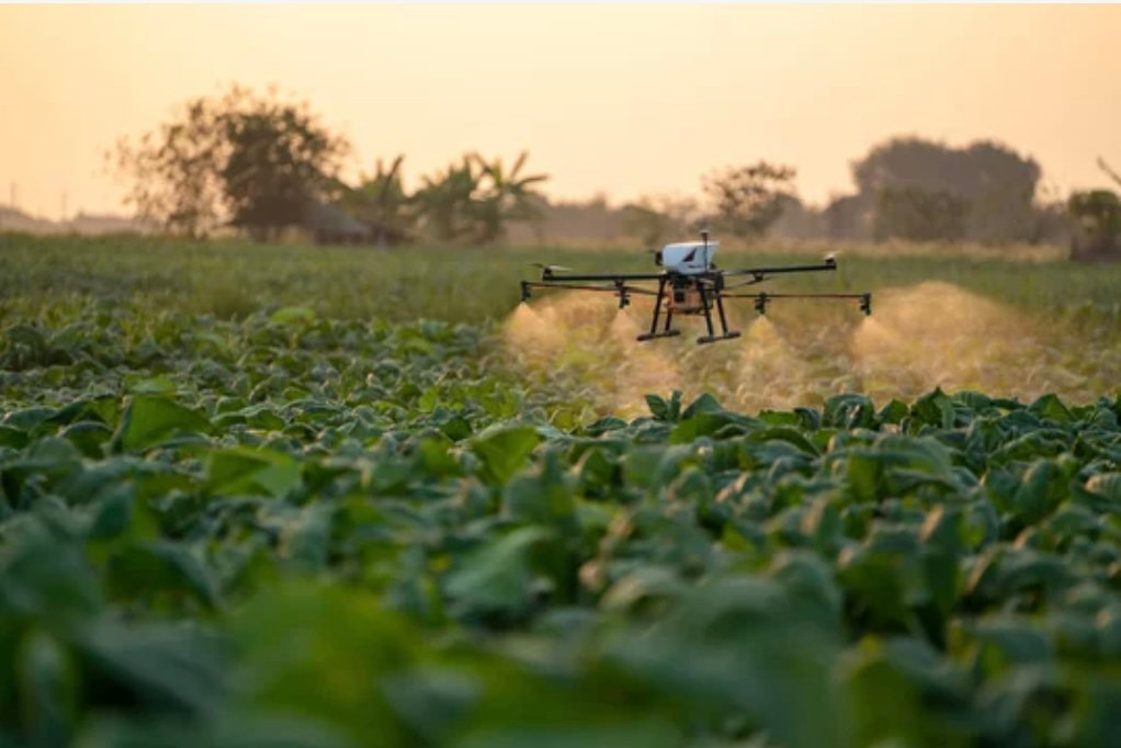 Investing in Agri-Tech: Future Trends and Potential