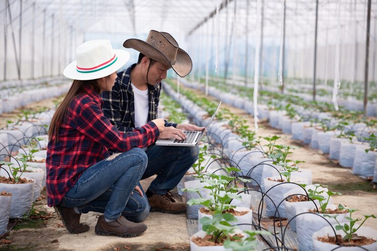 Vertical Farming: Revolutionizing Urban Agriculture