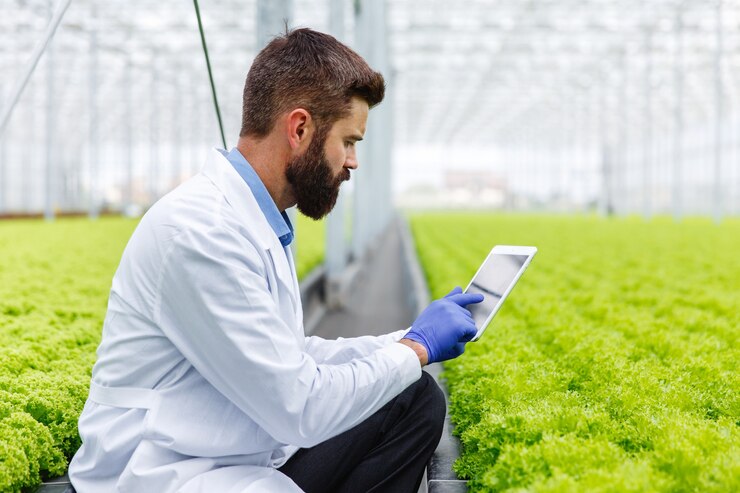 The Role of Technology in Modern Eco-Friendly Farming