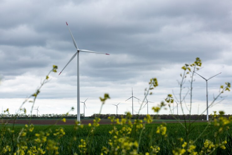 Smart Investments: Opportunities in Green Energy for Farmers