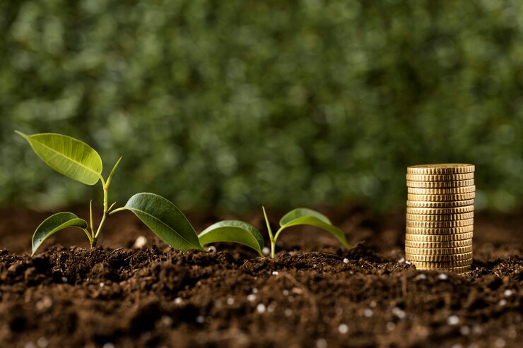 The Benefits of Diversifying Income Through Agri-Business Ventures