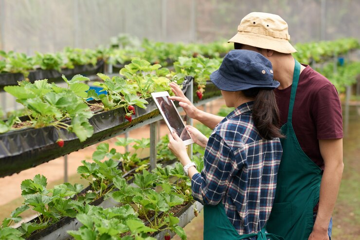 The Future of Farm-to-Table: Trends and Predictions for the Next Decade