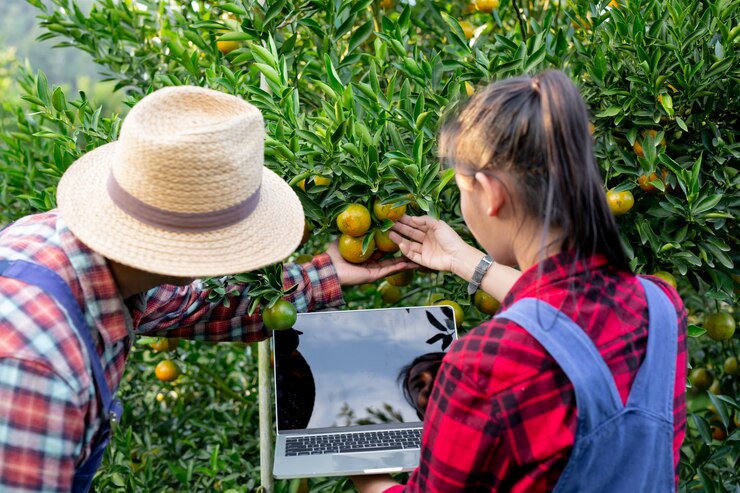 How to Leverage Local Markets to Boost Farm Income